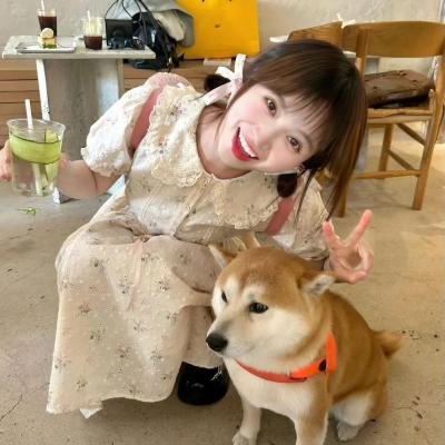 监察局长